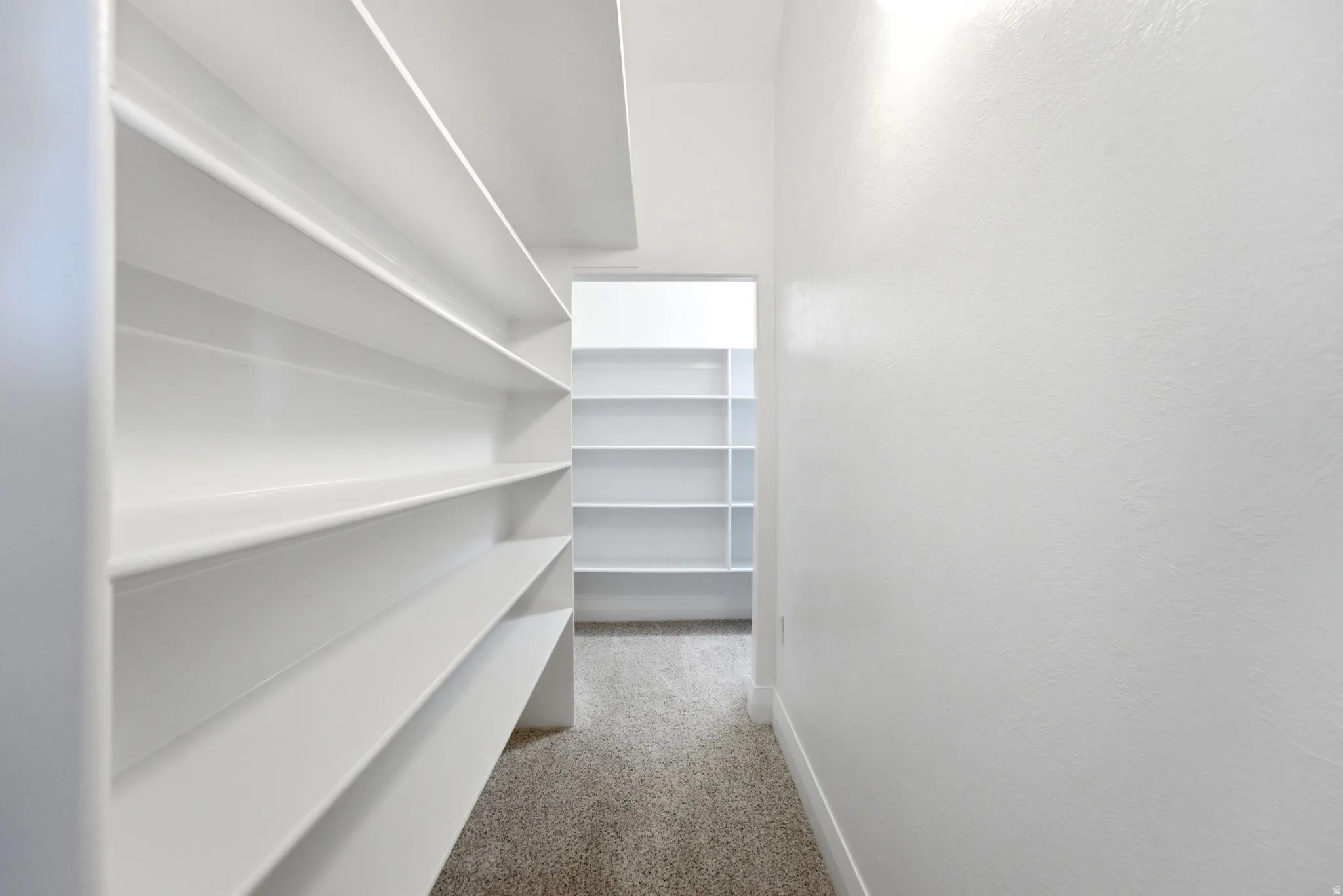Walk-in pantry featuring extensive white shelving and carpet flooring
