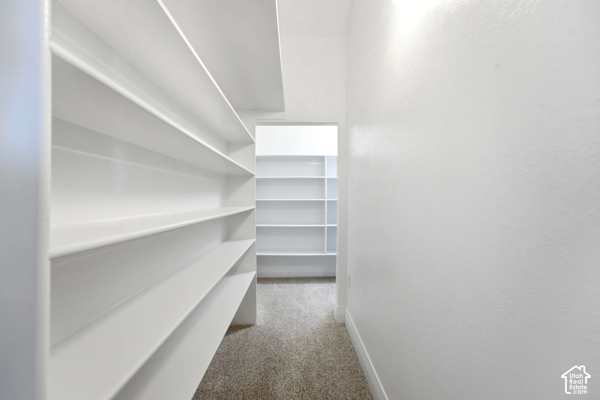 Walk-in pantry featuring extensive white shelving and carpet flooring
