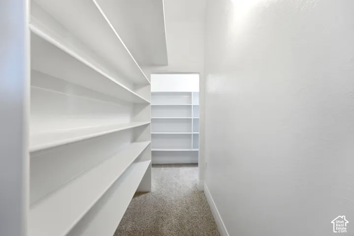 Walk-in pantry featuring extensive white shelving and carpet flooring
