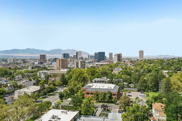 Expansive city skyline with distant mountains