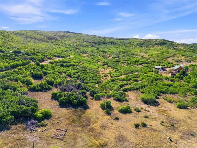 Expansive natural landscape with varied terrain and mature green foliage