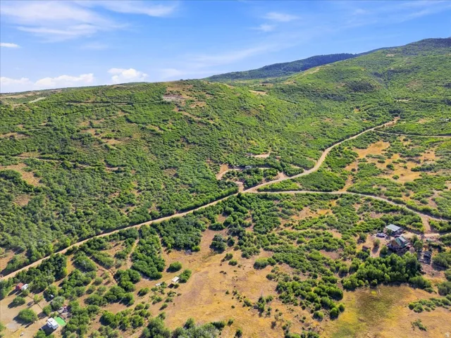 Expansive verdant landscape featuring a winding dirt road and scattered structures