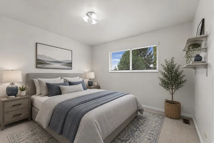 Window with blinds, wall-mounted shelving, overhead lighting fixture, and carpeted flooring
