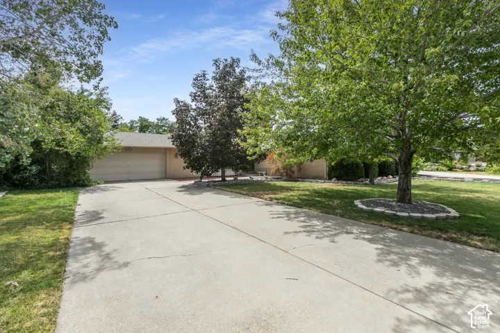 Concrete driveway with a two-car garage, mature trees, and a landscaped front yard