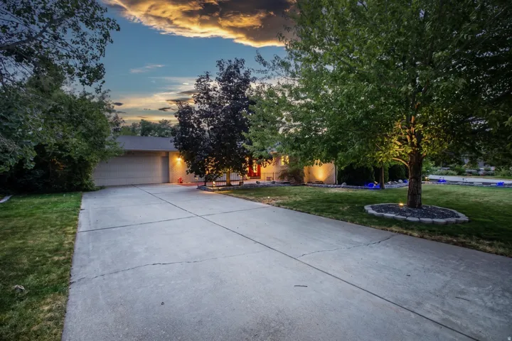 Expansive concrete driveway, attached garage, mature trees, and exterior lighting