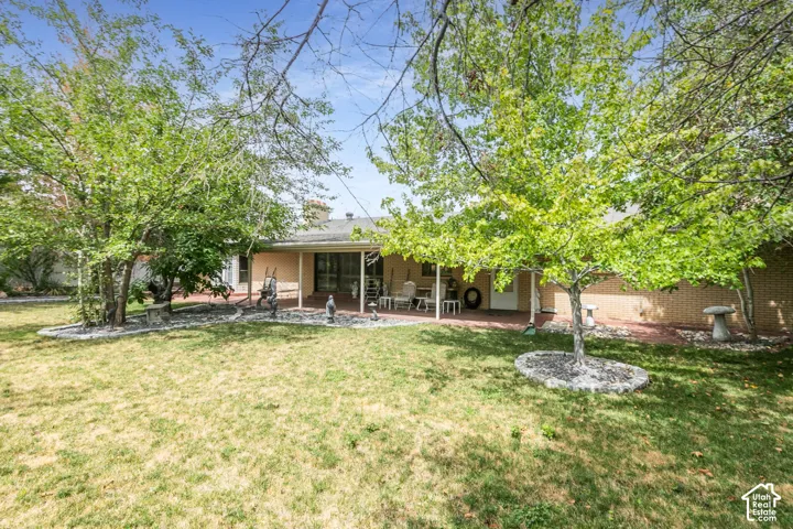 Expansive backyard featuring mature trees, a covered patio, brick exterior, and an additional exterior door