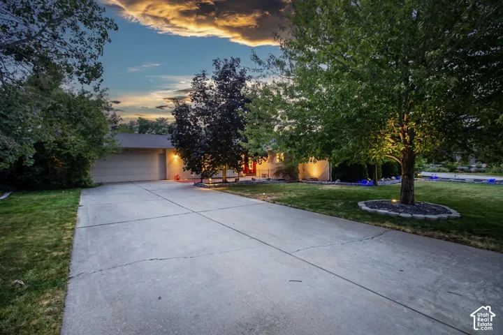Expansive concrete driveway, attached garage, mature trees, and exterior lighting