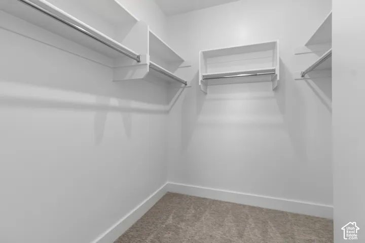 Walk-in closet with carpet flooring, white walls, and built-in shelving units