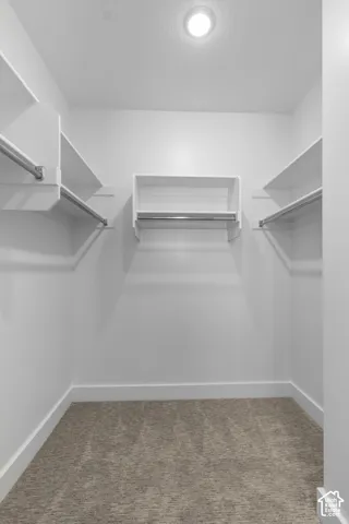 Recessed ceiling lighting, built-in shelving, integrated hanging rods, and carpet flooring