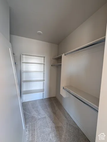 Storage space featuring white built-in shelving units, multi-level metal clothing rods, and wall-to-wall carpeted flooring