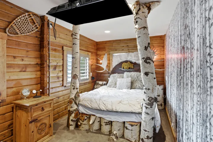Wood plank walls, birch tree pillar, window with louvered shutters, ceiling-mounted fixture, patterned accent wall
