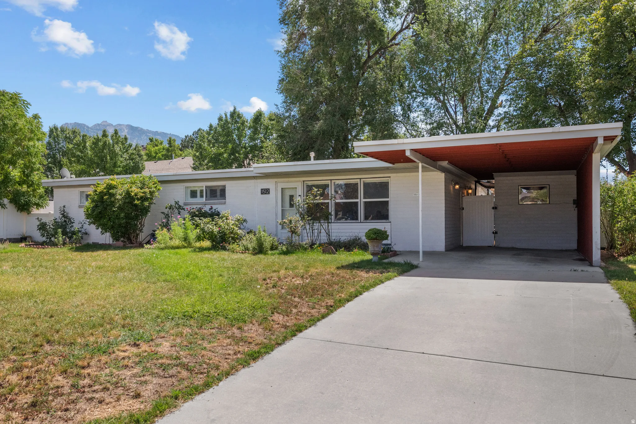 Mid-century modern exterior with a carport and concrete driveway