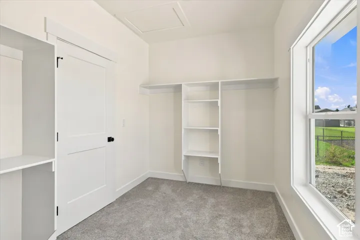 Built-in shelving, white trim, paneled door, gray carpet, and a large window