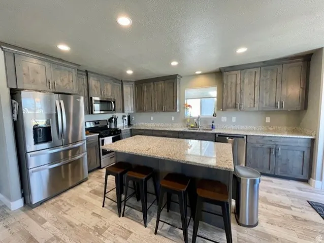 Kitchen featuring stainless steel appliances, wood-finish flooring, recessed lighting, gray wood cabinetry, and light-toned countertops.