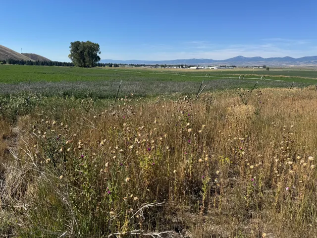 Expansive land featuring fields, distant mountains, and a clear sky