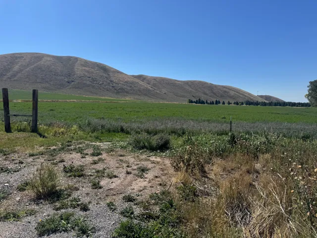 Expansive green fields with distant rolling hills and a clear sky