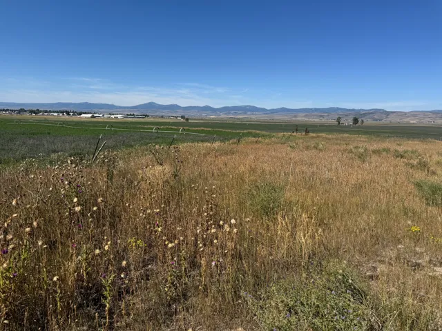 Expansive undeveloped land with distant mountain scenery