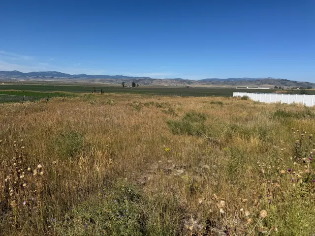 Expansive open land featuring natural grasses and distant mountain ranges