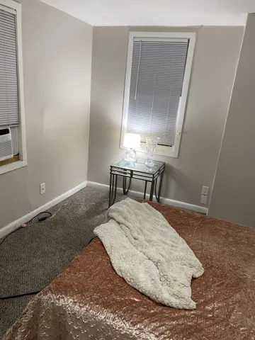 Neutral painted walls with white trim, two windows, and carpet flooring