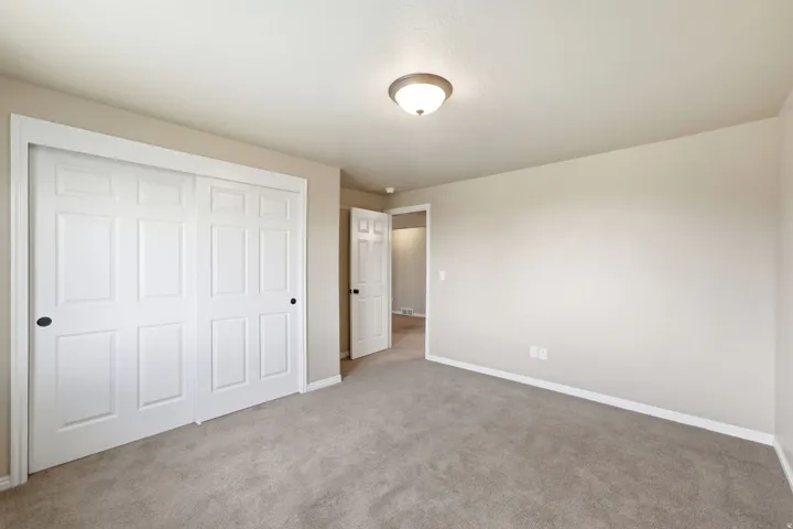 Neutral wall color, carpeted flooring, white trim, white paneled doors, and a ceiling-mounted light fixture