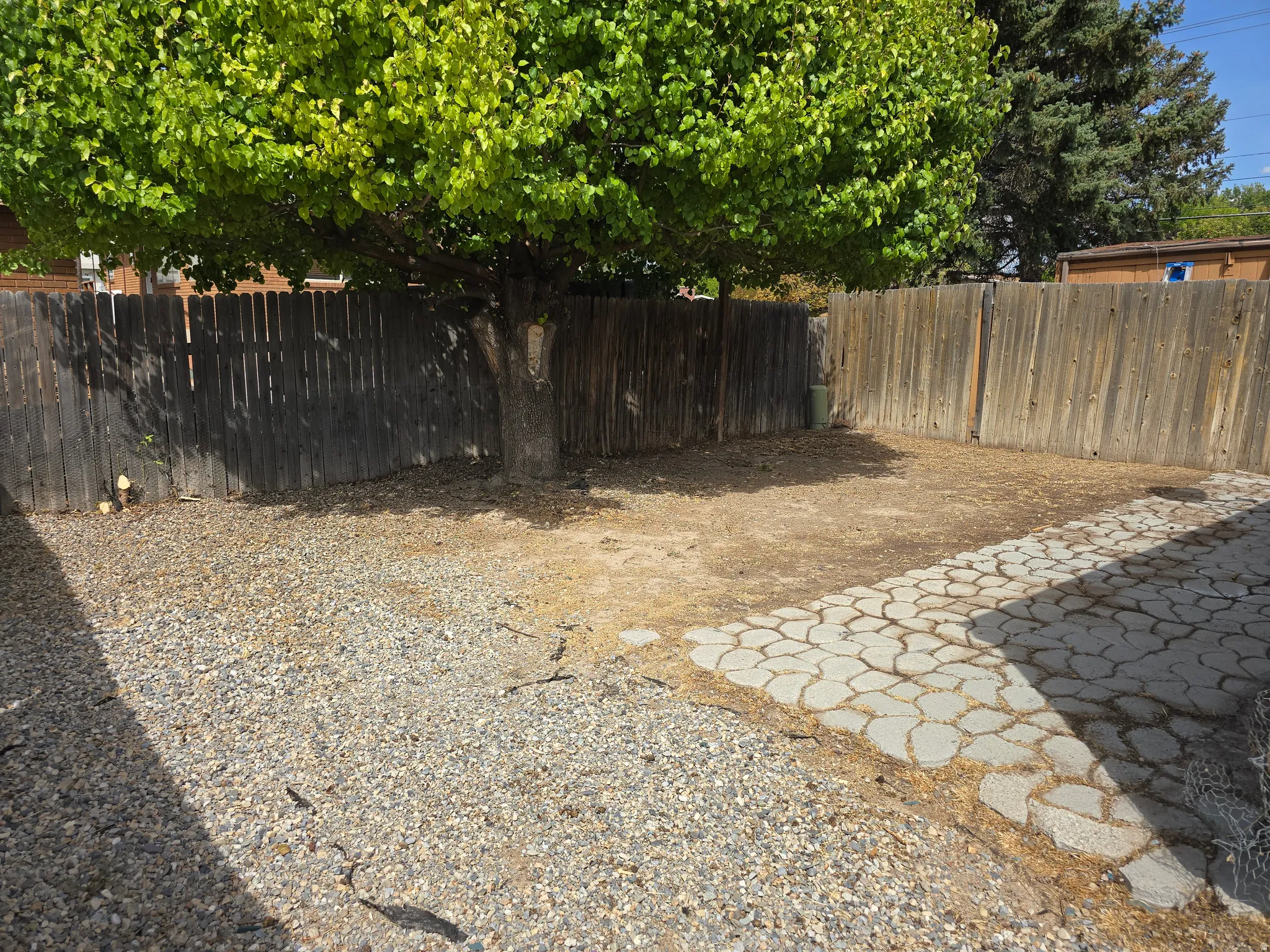 Expansive outdoor area featuring a mature tree, privacy fencing, gravel ground cover, and a patterned paver patio