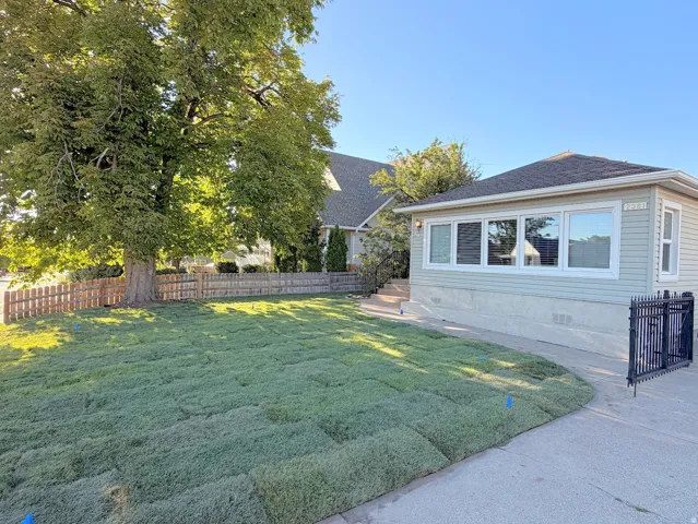 Expansive front yard featuring new sod installation, mature shade tree, and wood picket fencing