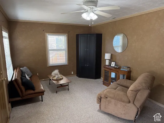 Textured wall finish, crown molding, ceiling fan with light fixture, window with blinds, carpeted flooring