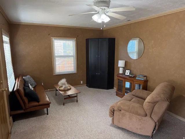 Textured wall finish, crown molding, ceiling fan with light fixture, window with blinds, carpeted flooring