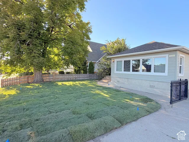 Expansive front yard featuring new sod installation, mature shade tree, and wood picket fencing