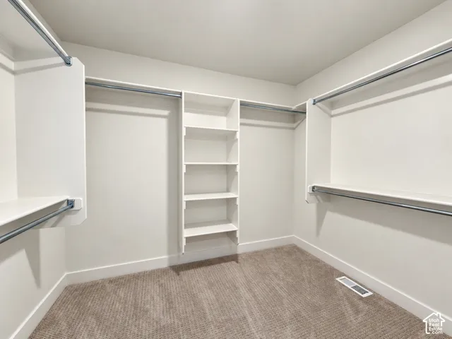 Walk-in closet with built-in shelving, multiple hanging rods, and neutral-toned carpeting