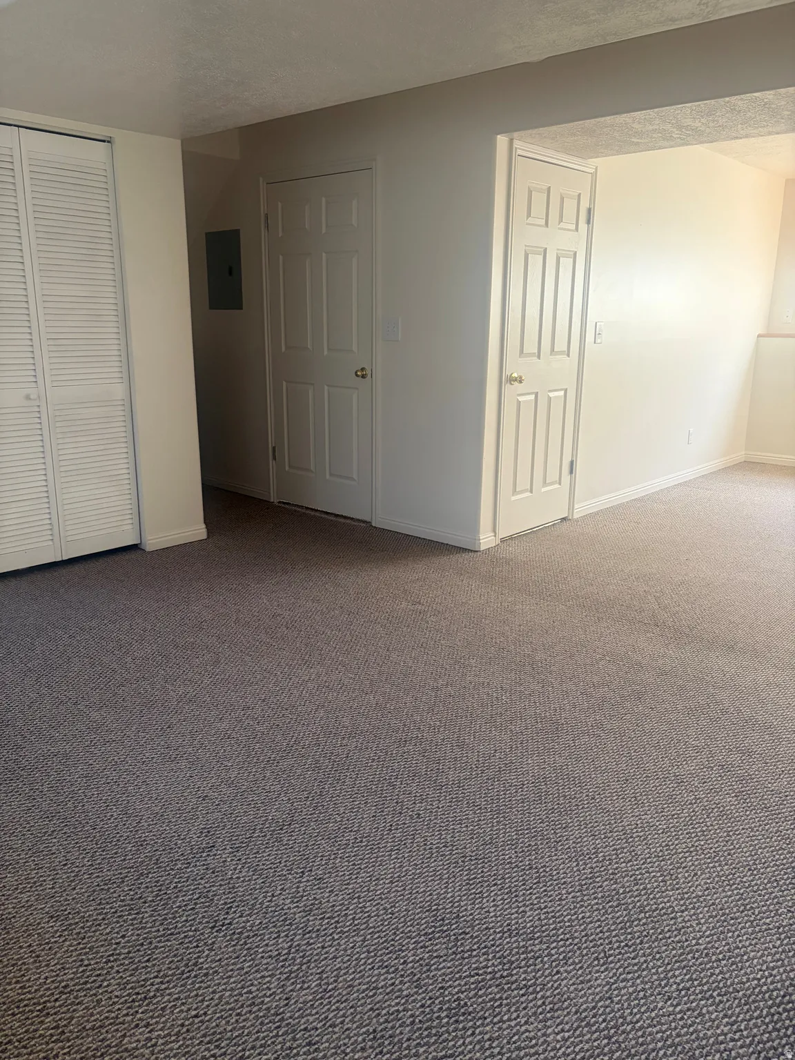 Textured carpeting, white interior doors, and bi-fold closet doors