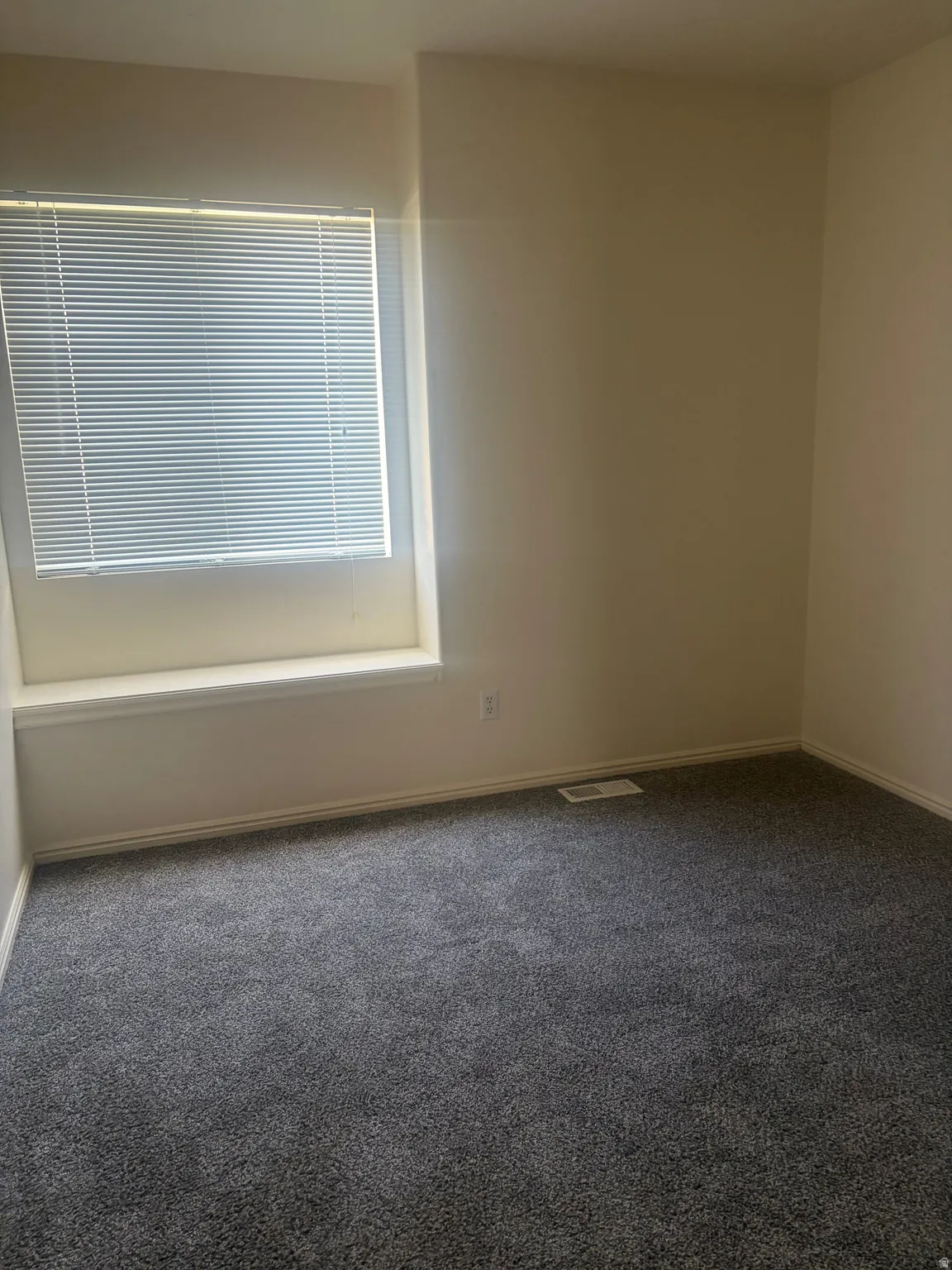 Carpeted room featuring a window with horizontal blinds and light-toned walls