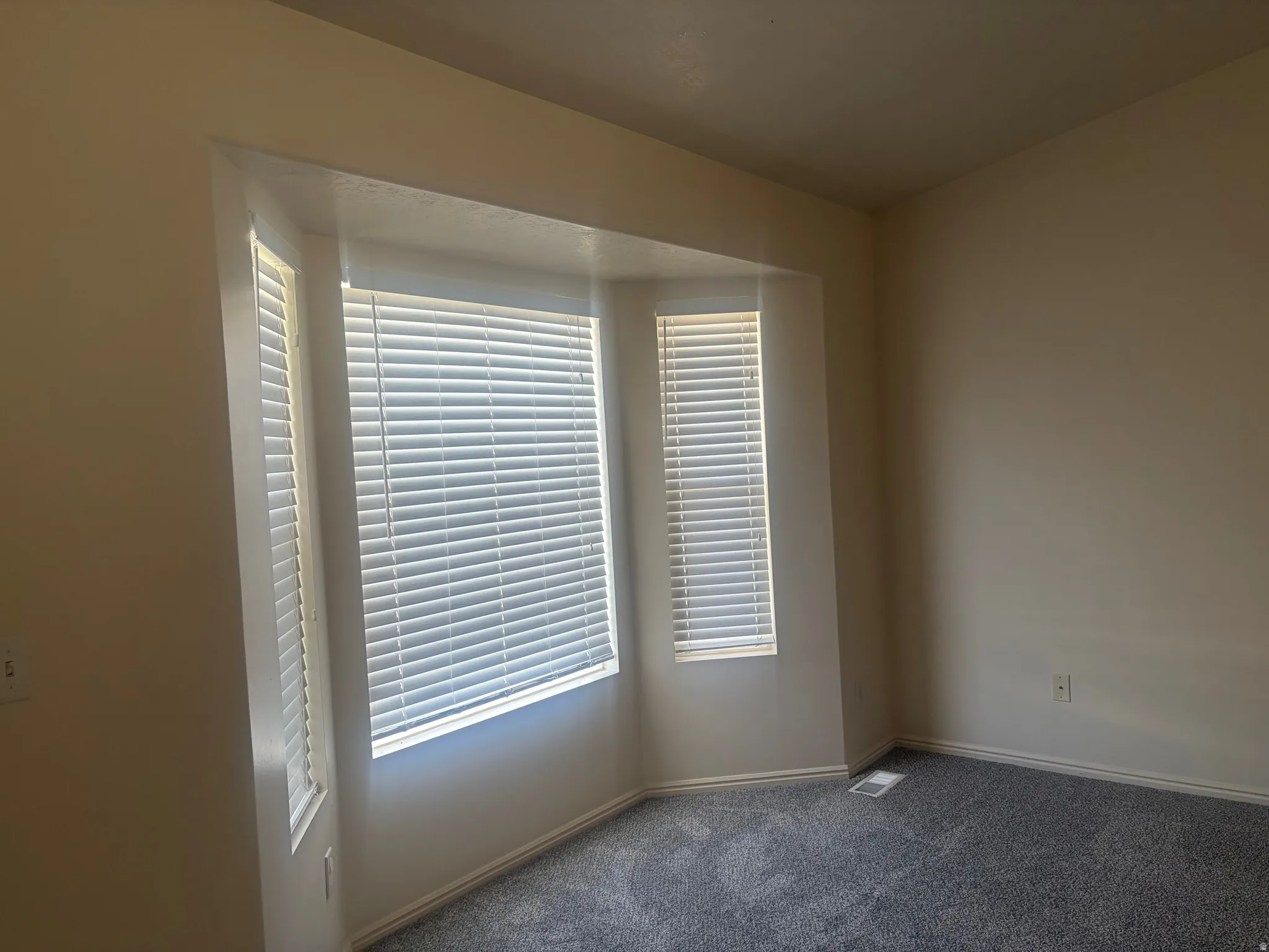 Bay window with white blinds, neutral wall color, and plush gray carpeting