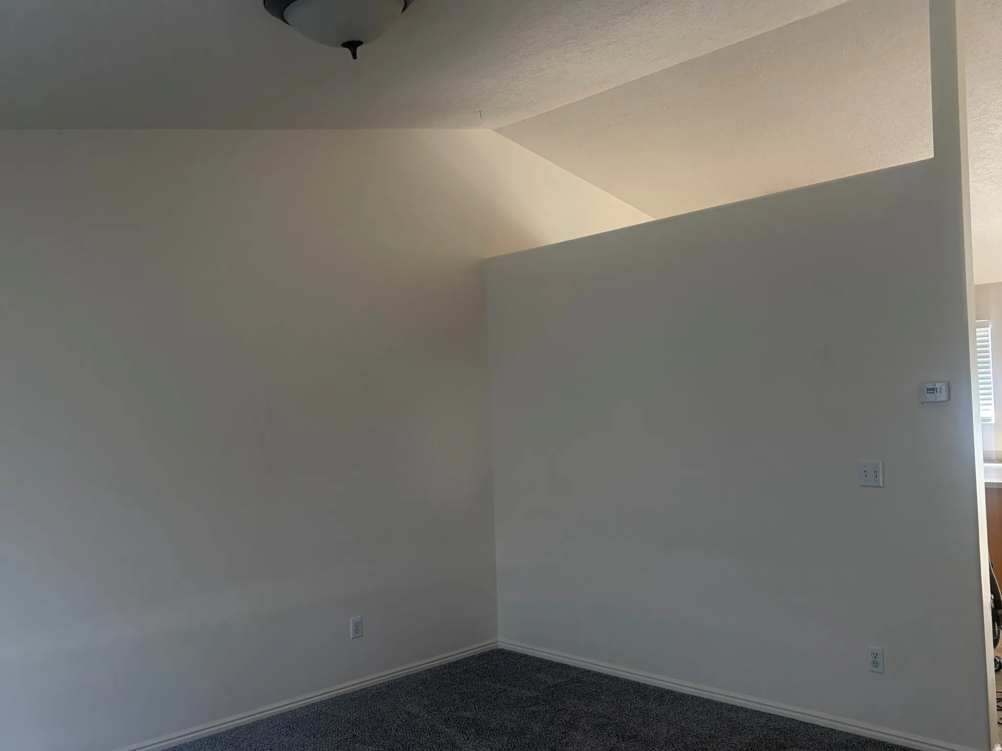 Neutral wall paint, plush carpeting, built-in half wall, ceiling-mounted light fixture