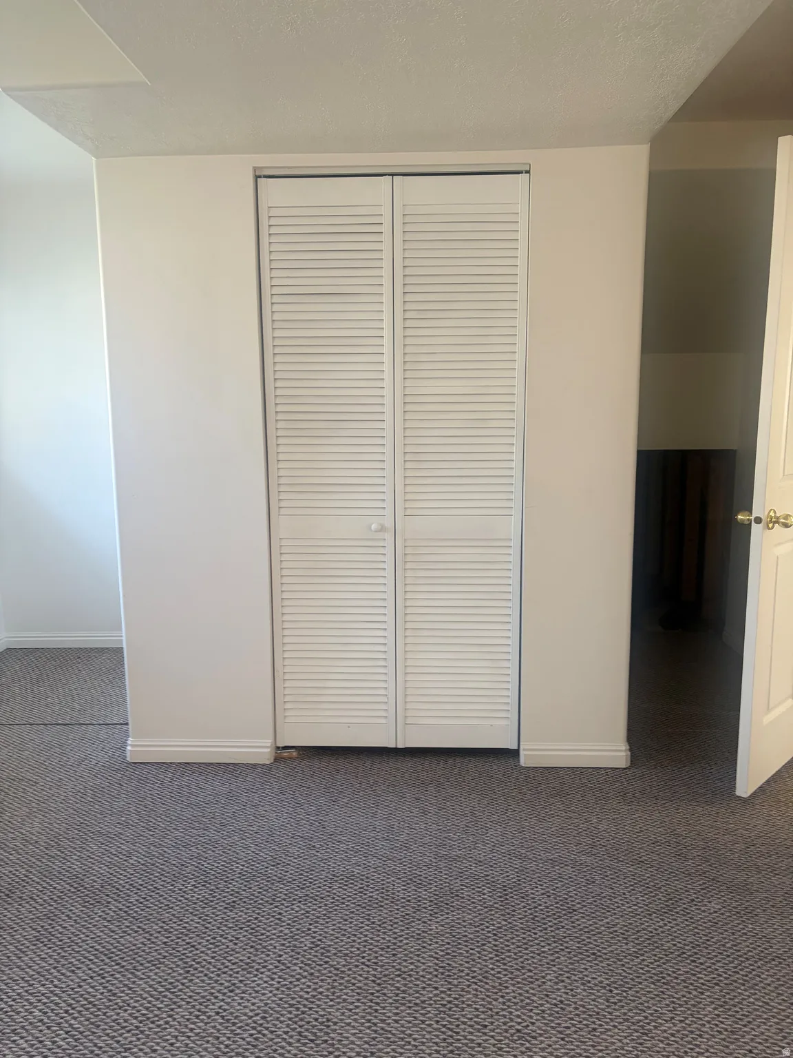 White louvered bi-fold closet doors with white walls and grey carpet flooring