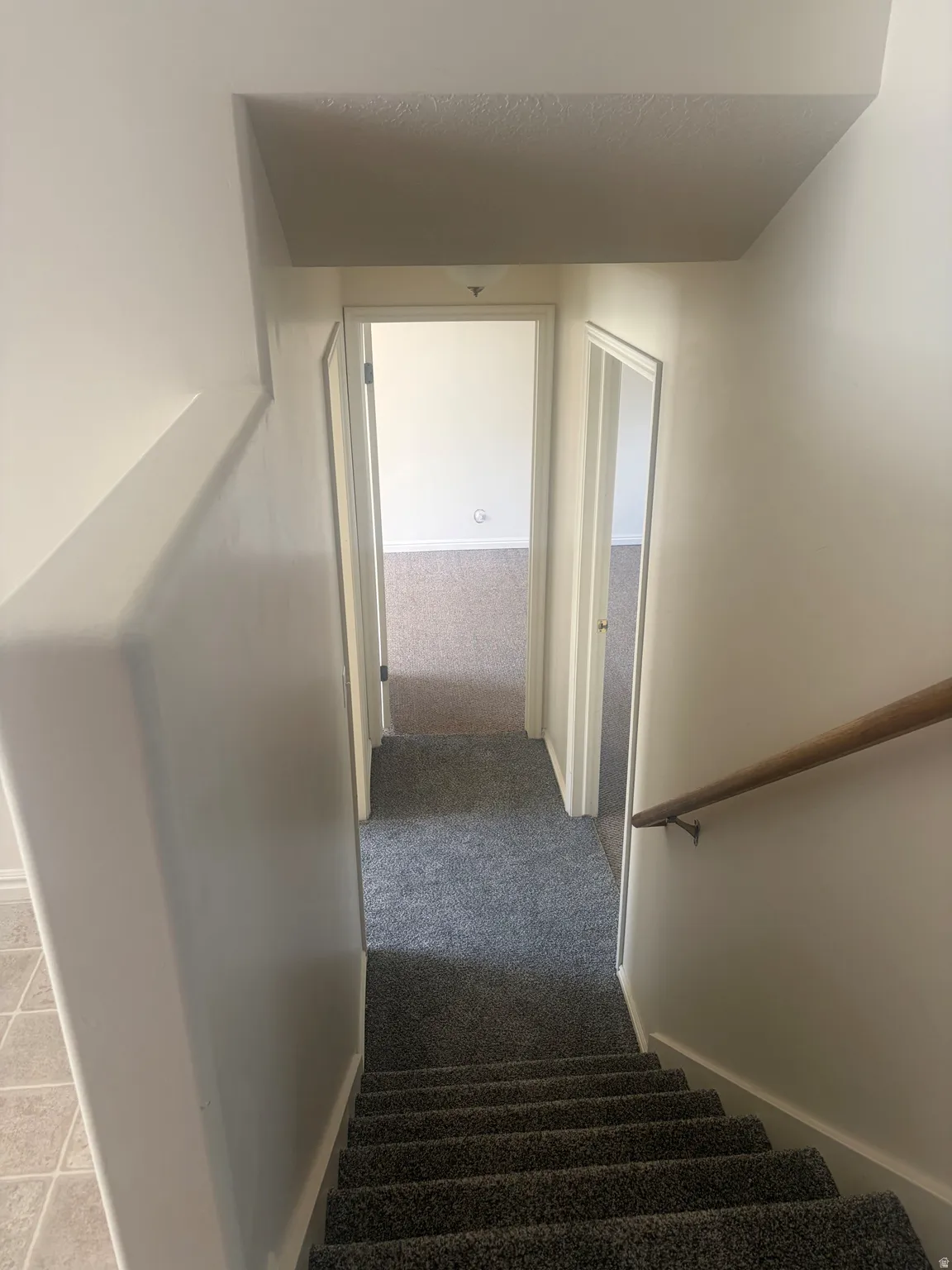 Carpeted staircase with a wood-finish handrail and neutral wall paint
