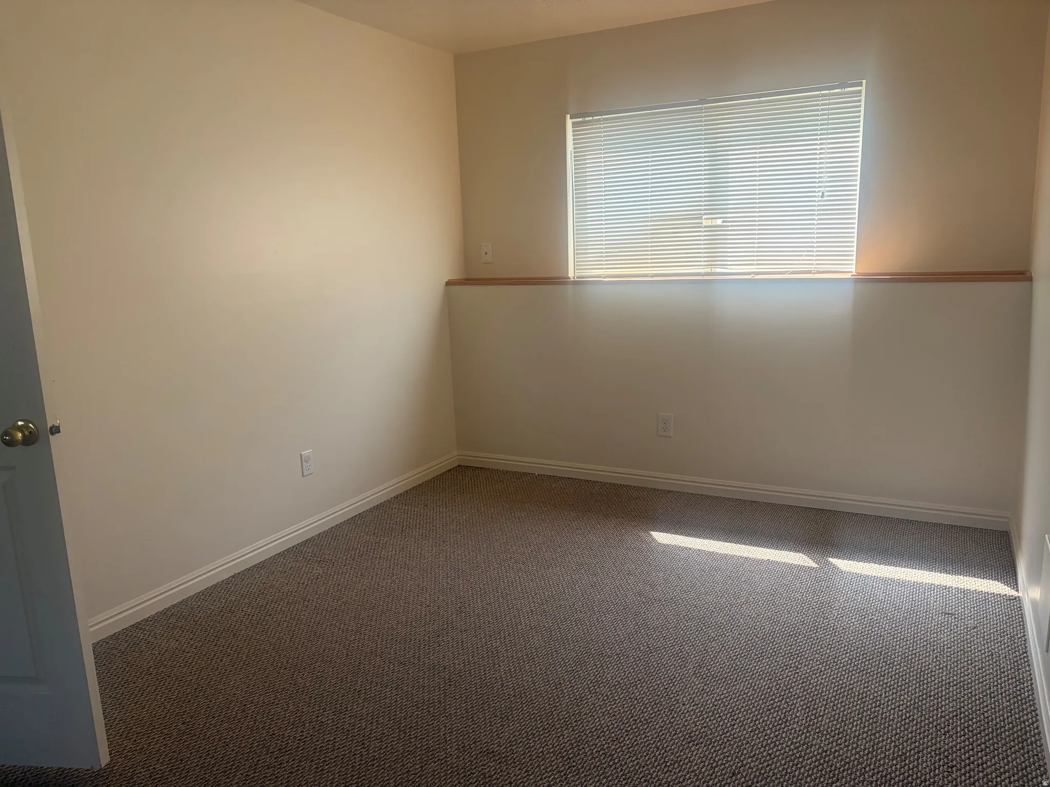 Neutral painted walls with white trim, carpeting, and a window with blinds