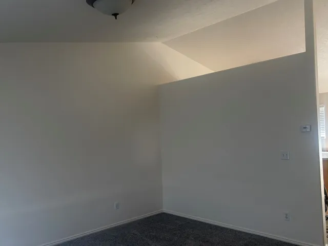 Neutral wall paint, plush carpeting, built-in half wall, ceiling-mounted light fixture