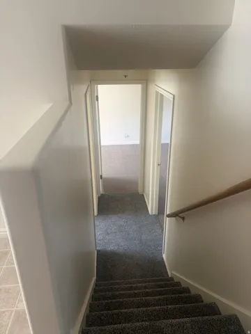 Carpeted staircase with a wood-finish handrail and neutral wall paint