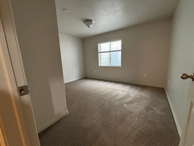 Neutral tone wall paint, textured carpet flooring, window with blinds, and ceiling-mounted light fixture