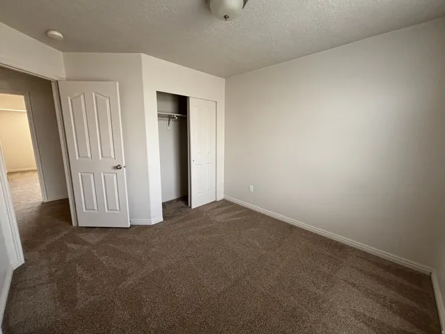 Neutral-toned wall paint, textured carpeting, closet with sliding doors, and a ceiling-mounted light fixture