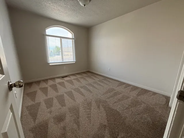 Arched window, neutral wall paint, patterned carpeting, white baseboards, and a dome ceiling light fixture