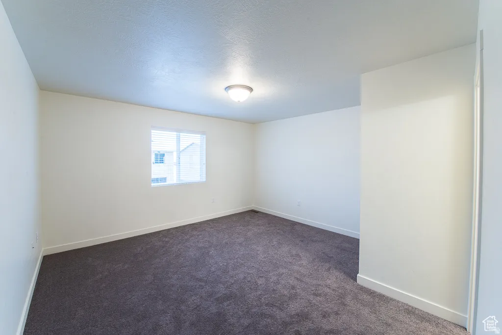 Neutral wall paint, textured ceiling, central overhead light fixture, window with blinds, and dark carpet