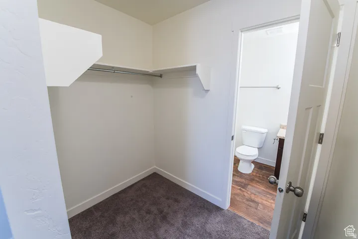 Carpeted closet with built-in shelving and hanging rod