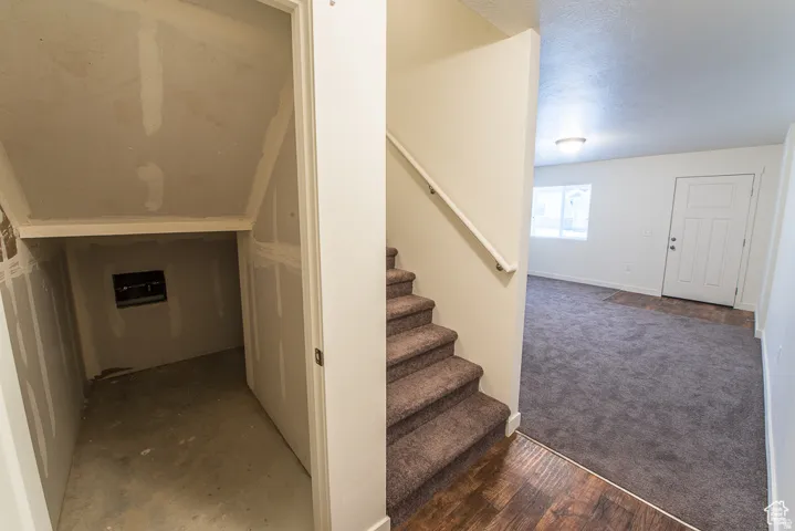 Under-stair storage area with exposed drywall