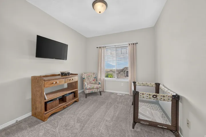 Neutral wall paint, ceiling-mounted light fixture, window with blinds and drapes, and gray carpeting
