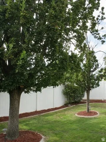 Grassed yard featuring mature trees, a white perimeter fence, and landscaped beds with mulch