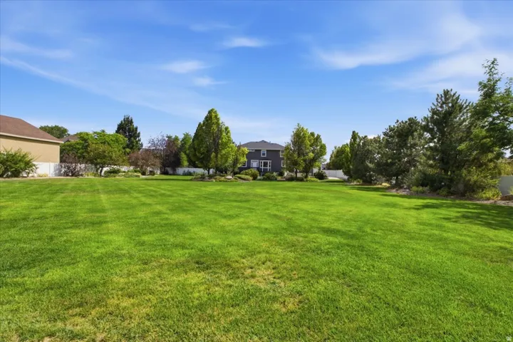 Expansive green lawn with mature trees and a privacy fence