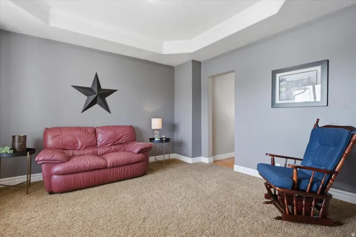 Recessed ceiling detail, neutral wall paint, and plush carpet flooring