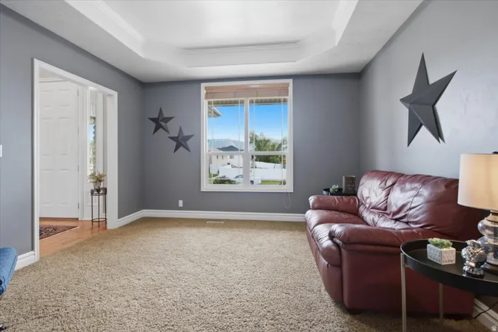 Tray ceiling with crown molding, light-colored carpeting, large window, and white trim throughout
